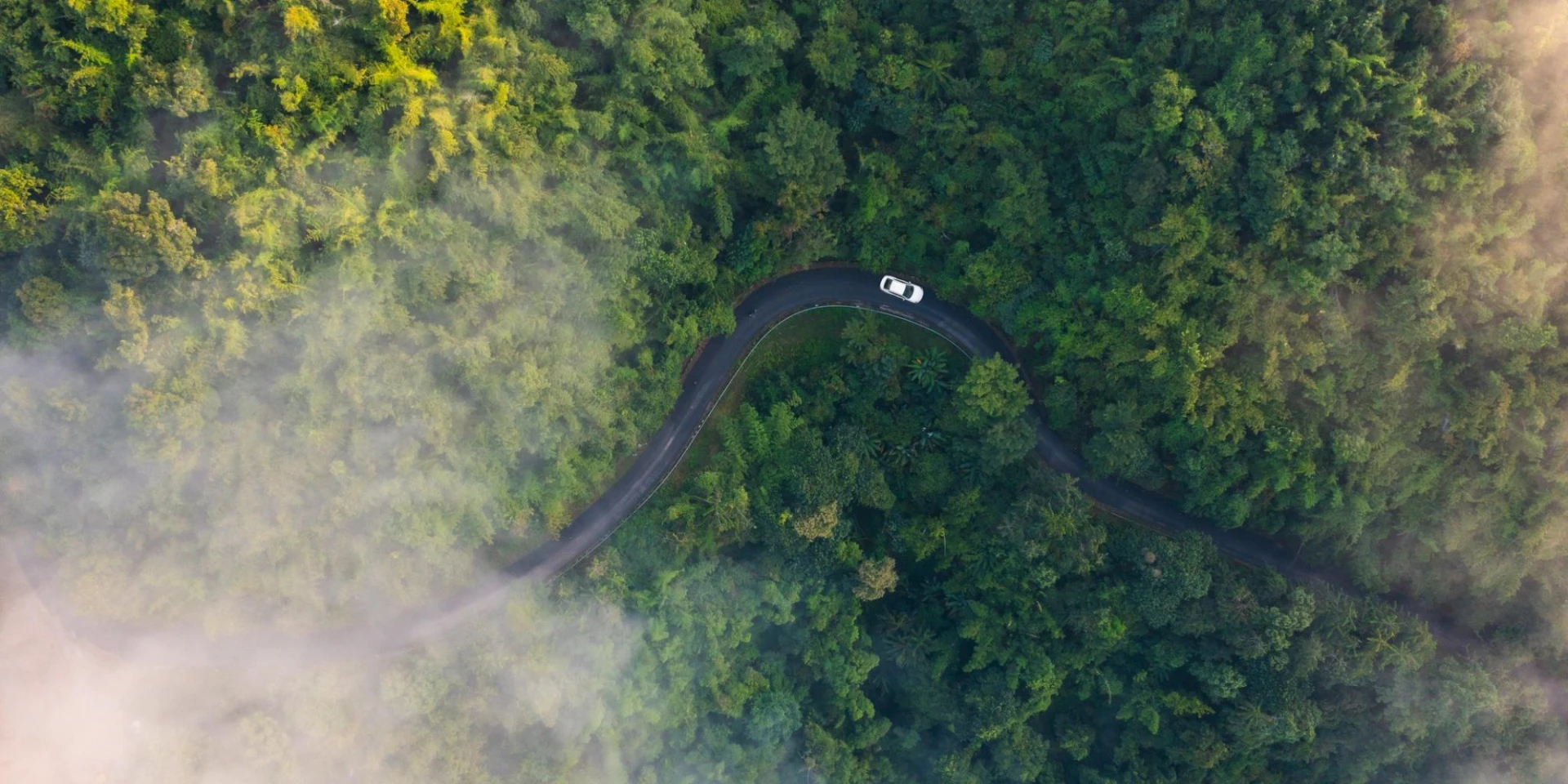 An aerial view of a car driving along a winding road through a dense, misty forest. The green foliage and curves of the road create a serene, natural scene.